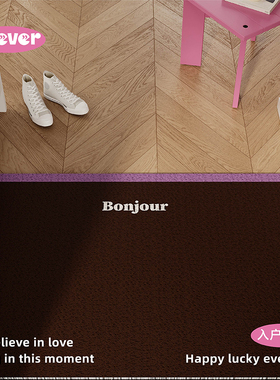 现代格子简约ins风入户地垫丝圈防滑脚垫毯进门垫玄关门口可裁剪