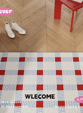 几何格子韩式入户地垫丝圈防滑脚垫地毯进门垫子玄关大门口可裁剪