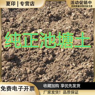 塘泥池塘土花土种菜土果树营养土天然泥土阳台盆栽土园土绿植通用