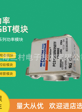 全新熔断器保险PC44UD69V35CP4/W221808 PC44UD55V55CP1/P229668