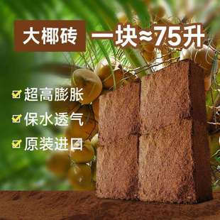 栽培基质泡发低盐高发泡量园艺水培种植无土栽培育苗用压缩大椰砖