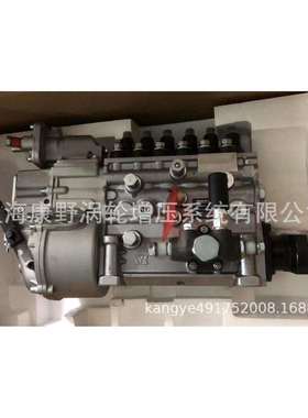 适用重汽喷油泵VG1096080160CB6TH953和VG1095080190CB6TH952