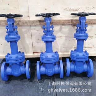 波纹管闸阀法兰闸阀WZ41H-40C DN32高温蒸汽 导热油阀