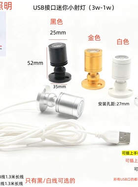 USB迷你led机箱小射灯微型吸顶酒柜台5V3w1w聚光灯手办模型彩色灯