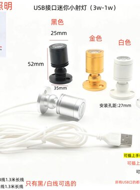 USB迷你led机箱小射灯微型吸顶酒柜台5V3w1w聚光灯手办模型彩色灯