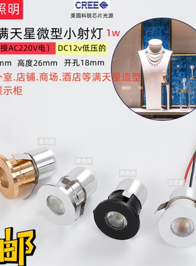 迷你led小射灯微型开孔18mmAC220v.DC12v满天星空顶1W超级小