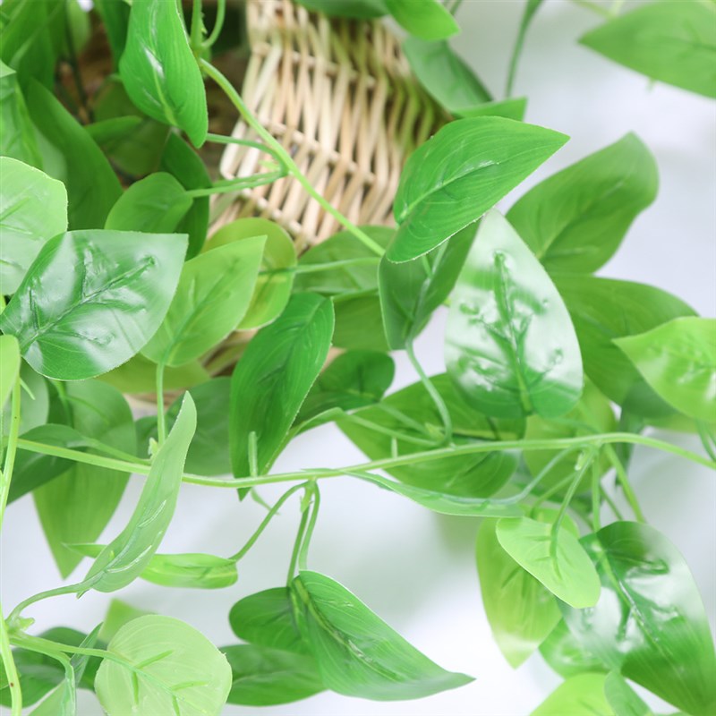 仿真绿萝壁挂假花藤条常青藤蔓绿植墙壁客厅室内绿色植物叶子装饰