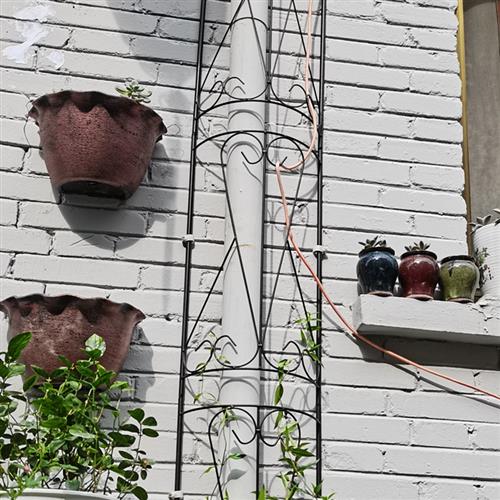 半圆爬藤架 落水管遮挡爬藤架 柱子遮挡爬藤架 撑花支架 花支撑架