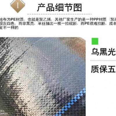 极速防草布除草布耐用果树农用防杂草大棚园艺地步PE黑色透气渗水