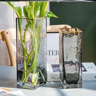 干枝雪柳b花瓶花盆鲜枝水养干支透明小支玻璃插雪柳的水培大口径