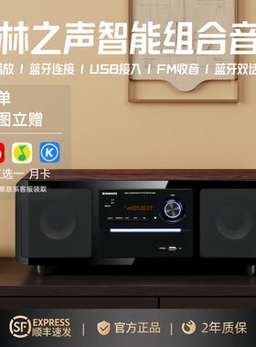 德国柏林之声PA-350智能组合音响