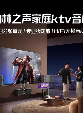 德国柏林之声新款家庭ktv音响