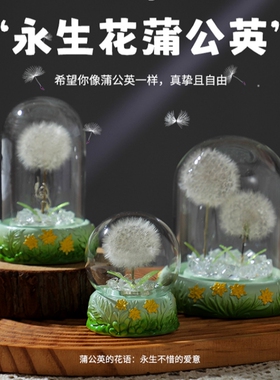 微景观真蒲公英干花永生植物标本