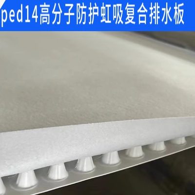 ped14高分子防护排水异形