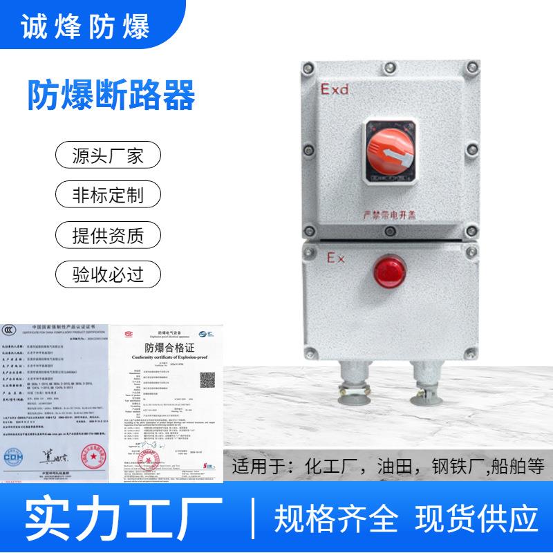 BDZ52防爆断路器10A16A 32A63A100A漏电2P3P4P防爆开关箱220V380V