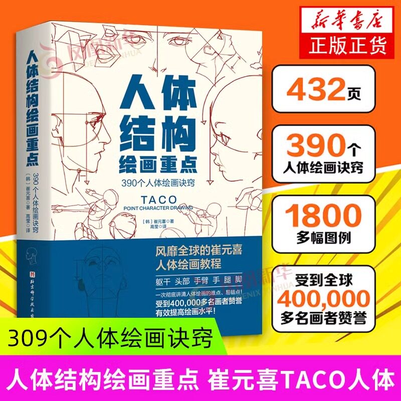 人体结构绘画重点-咨询优惠-