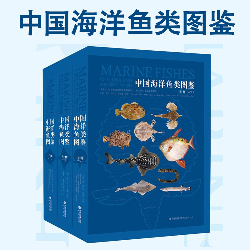 官方正版 中国海洋鱼类图鉴 刘敏邵广昭薛绮雯陈骁著 超4000种鱼类海洋生态科普百科图鉴海域生物多样性 海峡书局