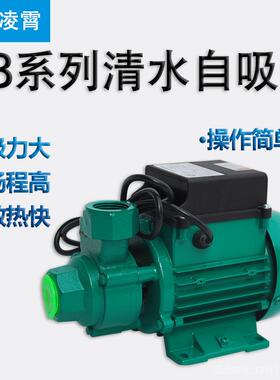 广东凌霄1DB-35B 45B 65B清水泵家用泵 增压泵