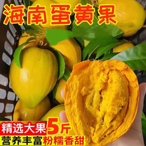 鸡蛋果新鲜蛋黄果5斤海南特产当季热带应季孕妇水果现摘现发整箱