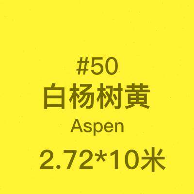极速拍照背景布摄影纸纯色拍摄服装模特婚纱照相馆照相单色白色黑