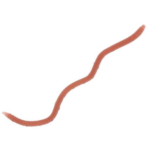 1 Box Fishing Bait Artificial Earthworm Soft Elastic Worms