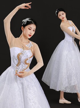 现代舞蹈演出服装芭蕾纱白色表演服开场舞蓬蓬连衣裙伴舞中长裙女