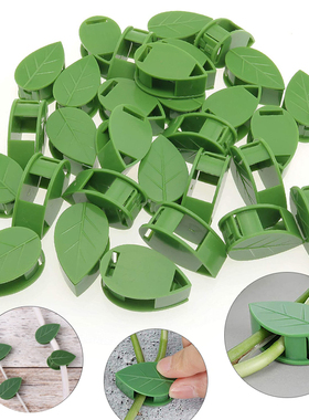 10PCS Plant Stent  Plant Climbing Wall Fixture Rattan Vine B