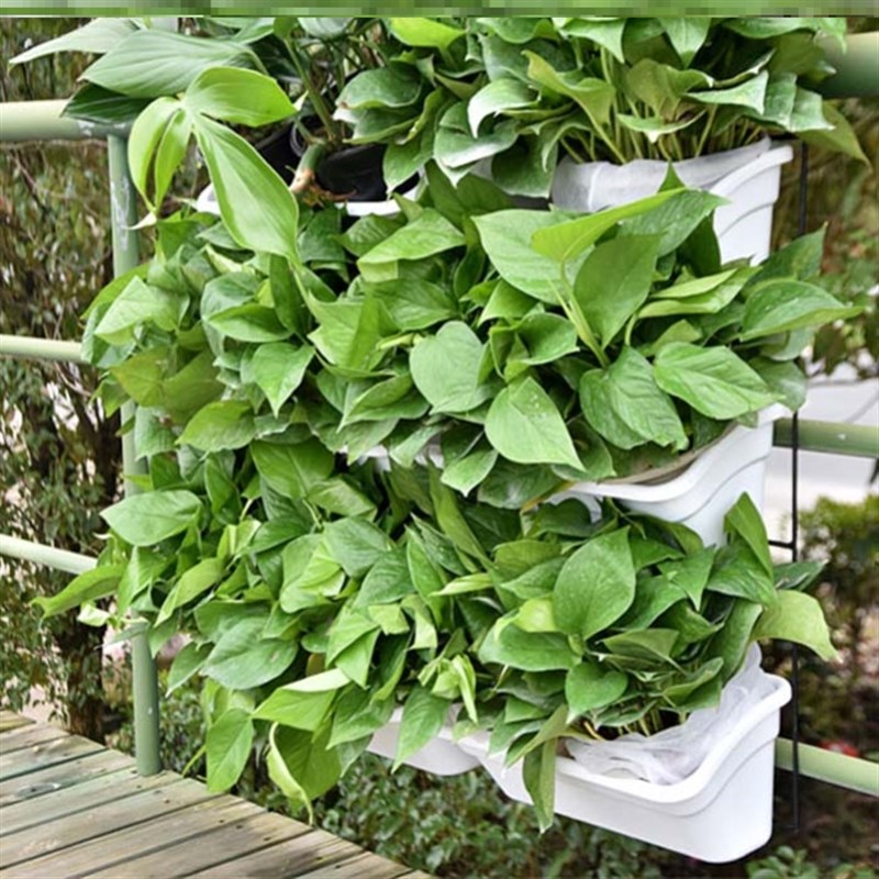 种草莓槽立体韭菜盆多层多功能胡萝卜草莓室内种植的多层悬挂花架