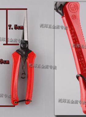 辽宁不锈钢稀疏果尖头耐用锋口采摘葡萄水果树枝纸张纸板多用剪刀