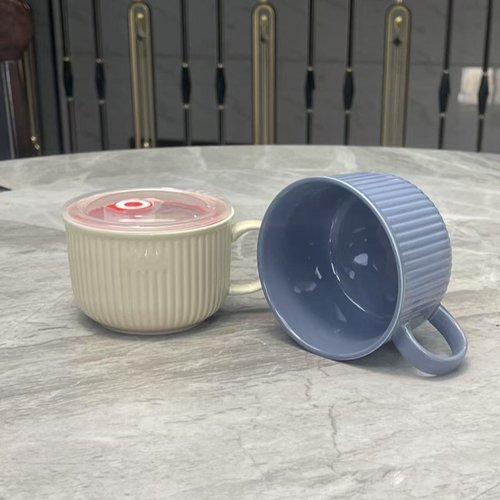 带盖简约陶瓷单耳北欧上班宿舍