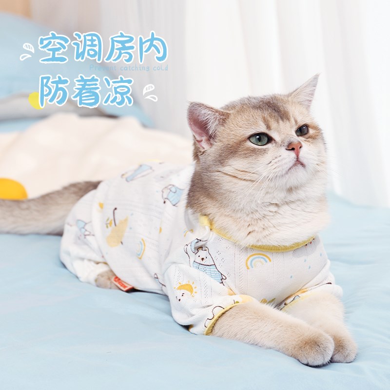 极速猫咪衣服夏天防掉毛薄款断奶四脚全包无毛猫猫小W猫空调护肚图片