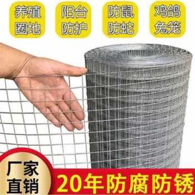 新品新铁丝网围栏养殖网防盗窗z户防护网热浸镀锌电焊网片铁网格