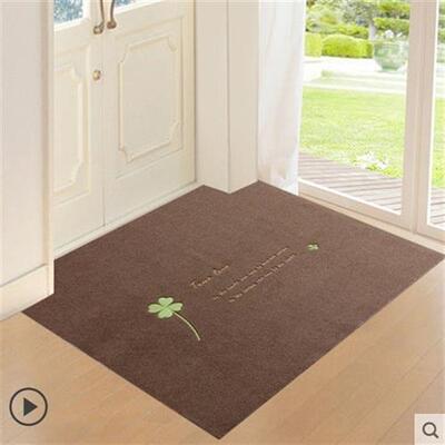 极速Floor pgadz entry home entrance door carpet kitchen bath
