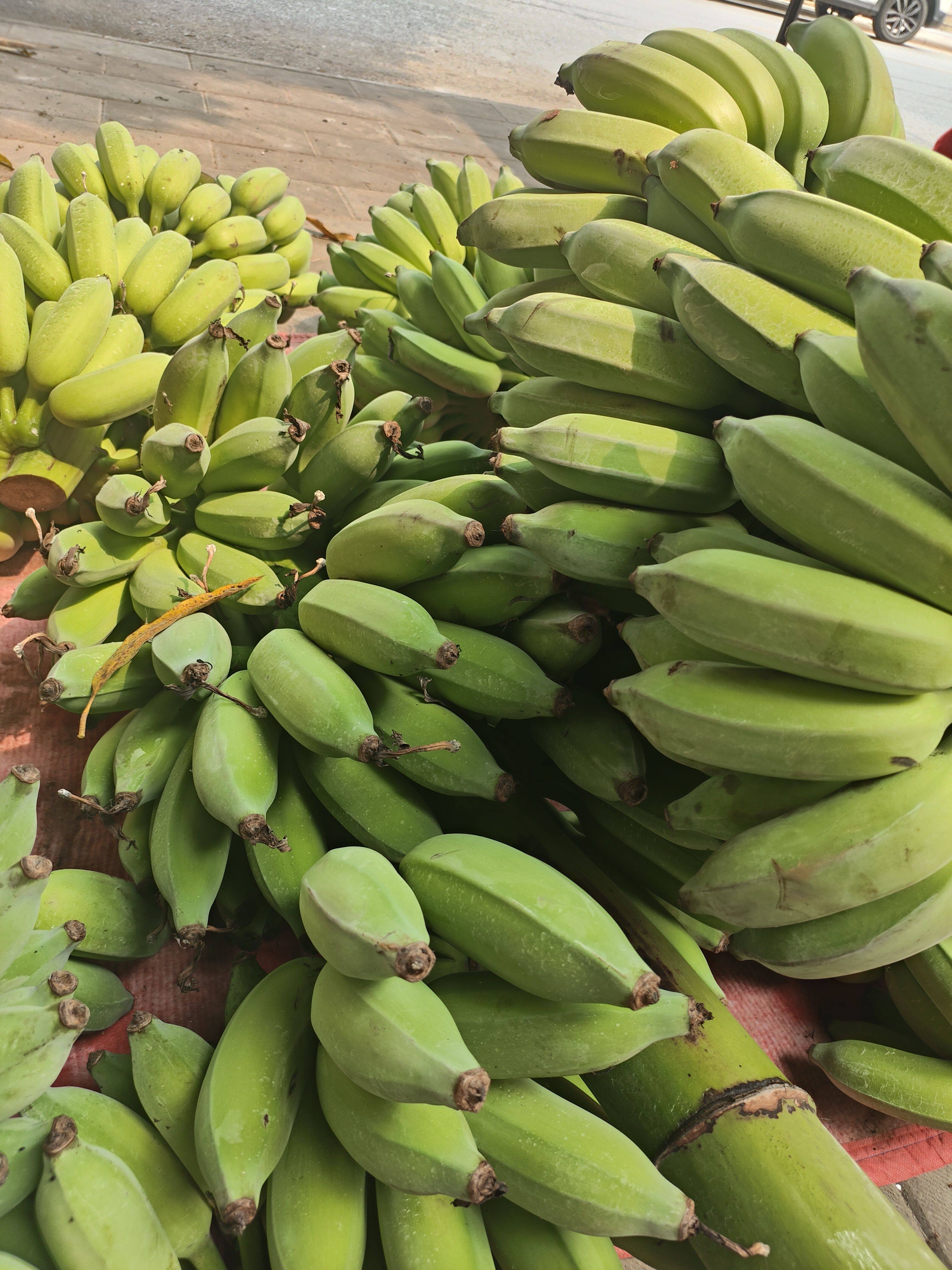 云南野芭蕉新鲜水果西贡蕉甜糯米蕉粉蕉香糯芭蕉牛奶蕉大米蕉