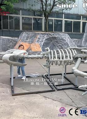 玻璃钢霸王龙化石骨架树脂混合材质商场中庭美陈自贡恐龙厂家
