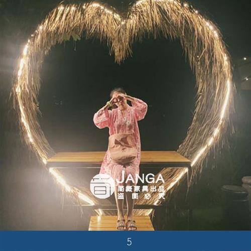 巴厘岛网红鸟巢庭院度假村秋千吊篮吊椅酒店民宿网红拍照打卡道具