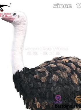 黑色仿真粘毛鸵鸟动态模型自贡特色巨型仿真动物模型制作工厂