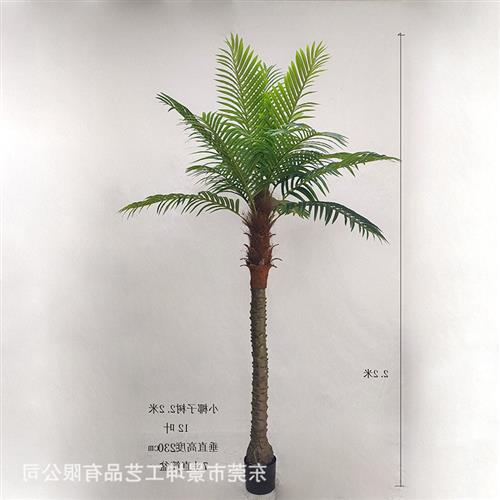 仿真小椰子树仿真美丽针葵树小棕榈树室内外绿植盆栽落地造景装饰