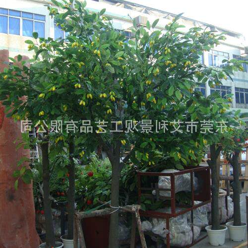 果树绿植盆栽枸杞树苹果树酒店装饰假树植物花高仿真