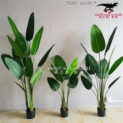 仿真树模型商场造景绿植大型娑罗树芭蕉树藤蔓树叶玻璃钢树干.