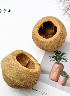 新品【大碗壳】进口天然植物果壳南美缸造景手工Qdiy香薰容器侘寂
