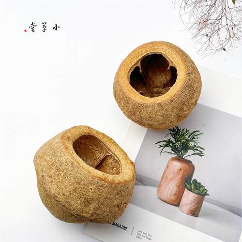 新品【大碗壳】进口天然植物果壳南美缸造景手工Qdiy香薰容器侘寂