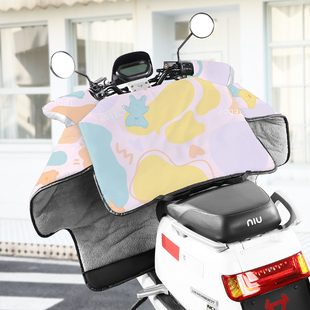 P小型风瓶电车加绒加厚 202m1年电动车挡电春冬季 极速 首单直降