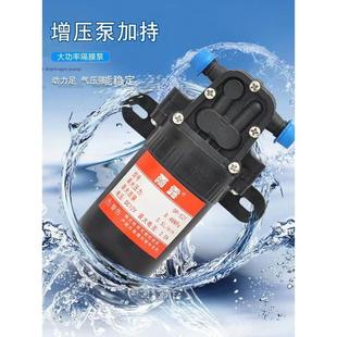 家用自吸泵隔膜高压洗车增压专用220V抽小水泵自吸式 直流微型水泵