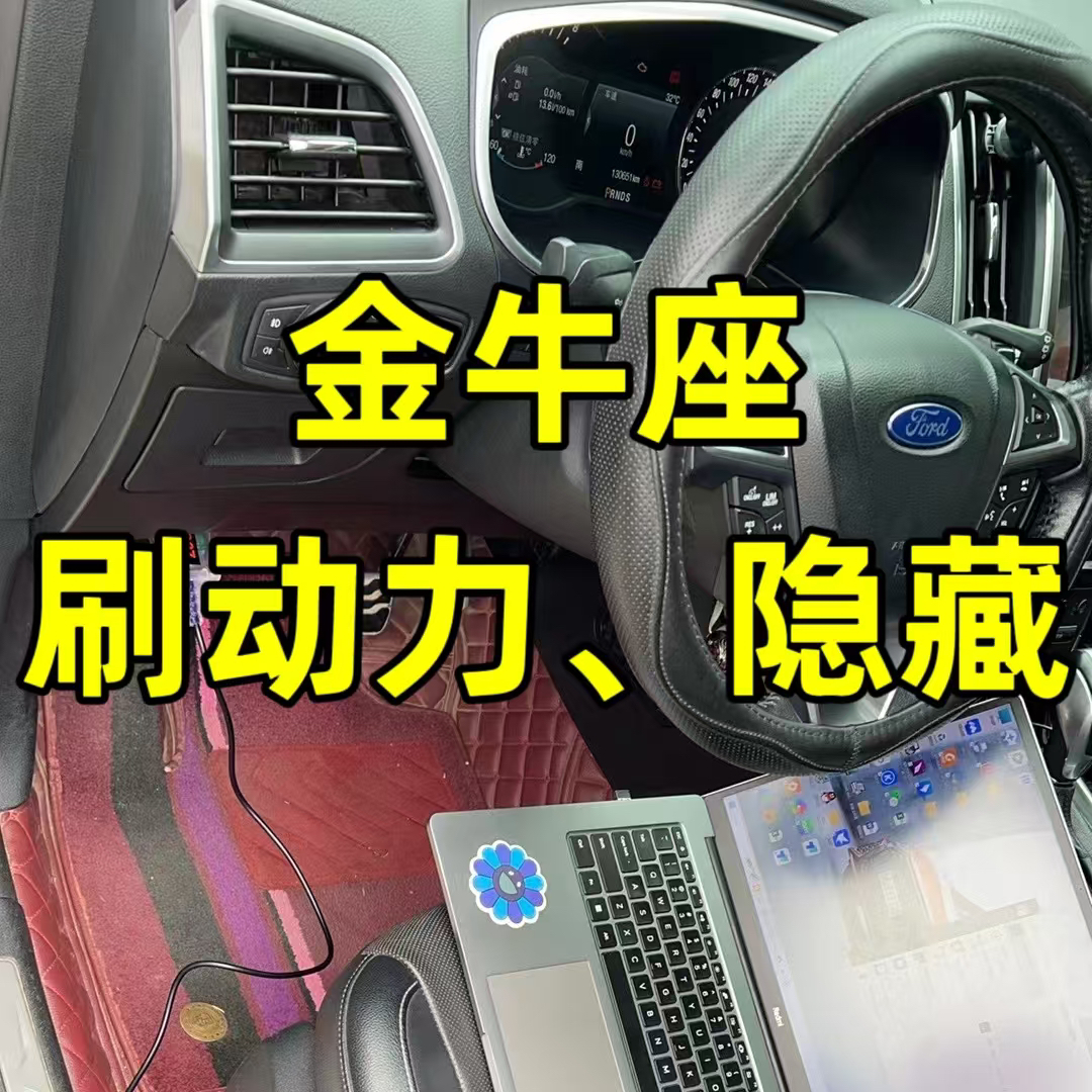 金牛座刷动力一阶特调ECU提高马力优化变速箱顿挫油门迟滞刷隐藏