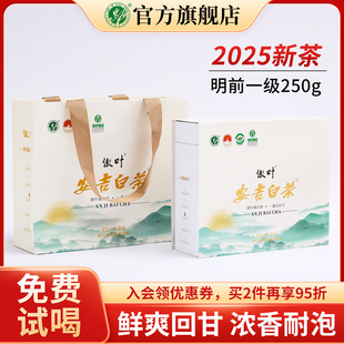 2025新茶安吉白茶明前一级绿茶官方旗舰店正品茶叶年货礼盒装250g