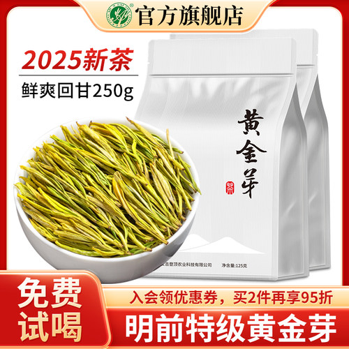 黄金芽茶叶特级明前安吉白茶250g