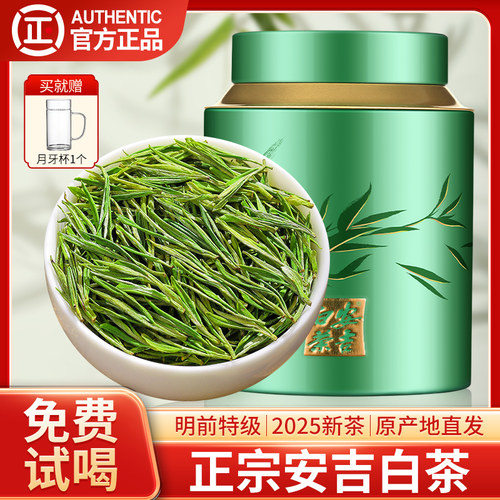 安吉白茶2025新茶明前特级茶叶
