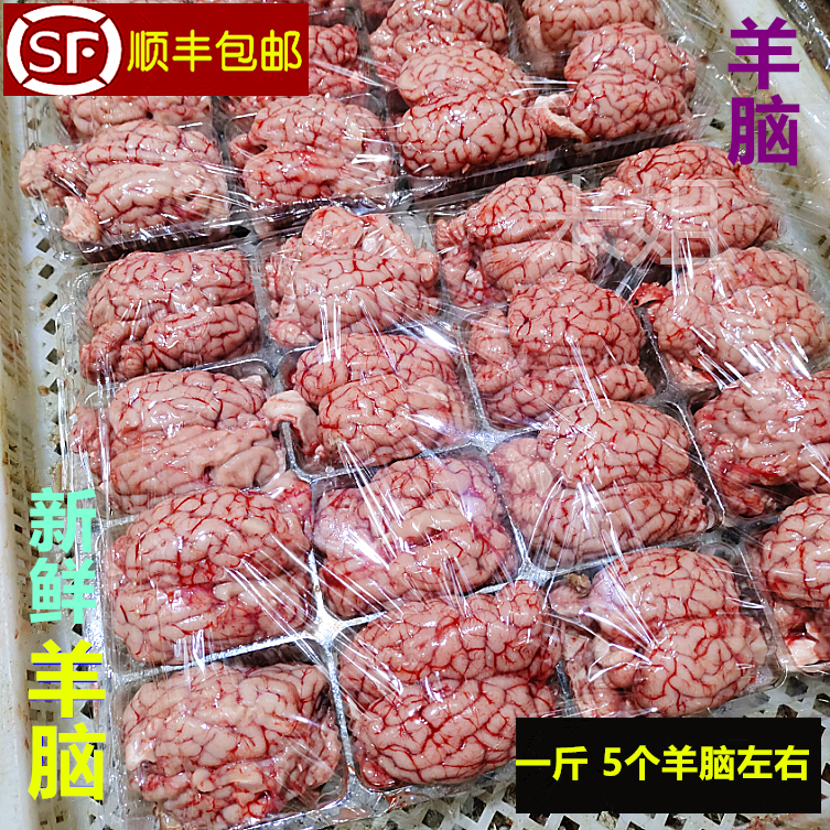 新鲜羊脑子 生鲜羊脑花火锅饭店商用 清真食材冷鲜羊脑髓20斤商用