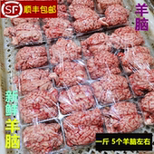 新鲜羊脑子 生鲜羊脑花火锅饭店商用 清真食材冷鲜羊脑髓20斤商用